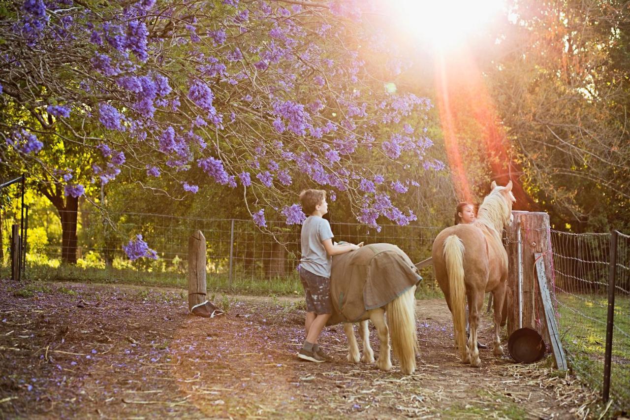 Pinbarren Green Lodges Noosa Kültér fotó
